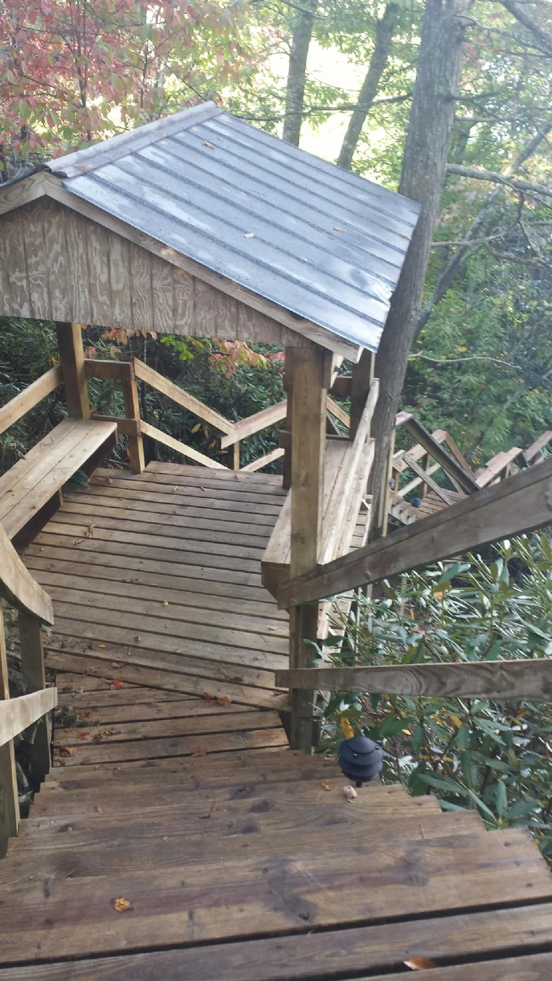 Metal roofed shelter over wooden steps on a wooded walkway — Skylight Repair & Installation work by our crew in Powellsville