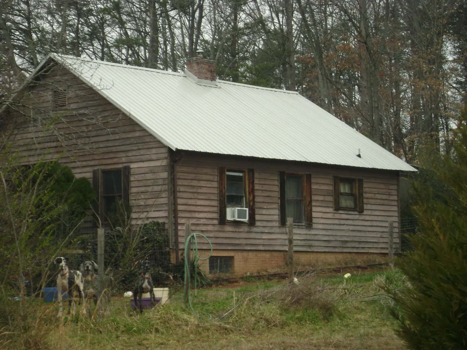 White metal roof on an old wood sided farmhouse, from a Metal Roof Installation job in Powellsville